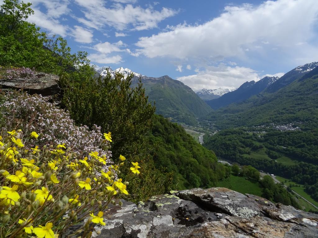 Hotel La Montagne Fleurie บาแรฌ ภายนอก รูปภาพ